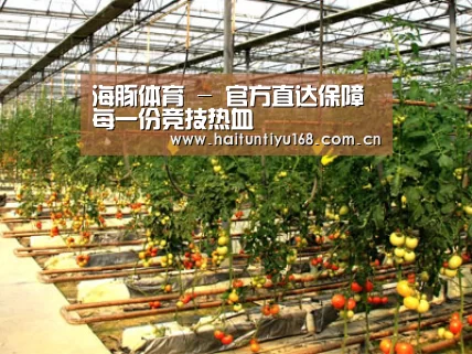 种植基地二