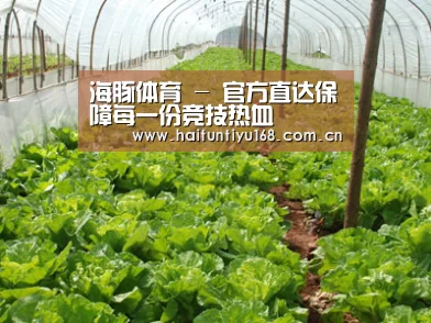 种植基地五