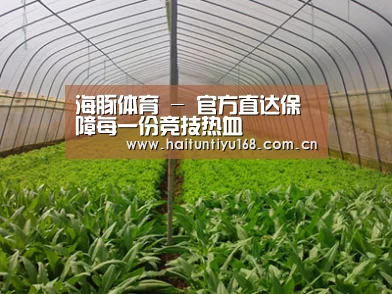 种植基地四