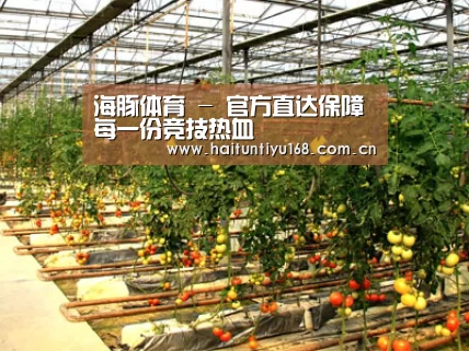 种植基地二(图1)