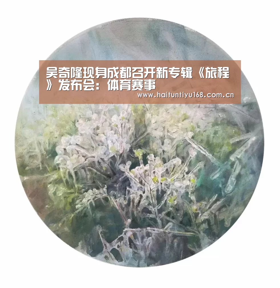 海豚体育