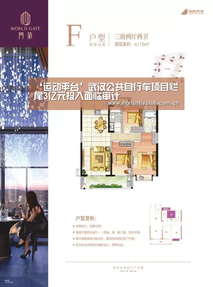 ‘运动平台’武汉公共自行车项目烂尾3亿元投入面临审计(图3) 健身互动