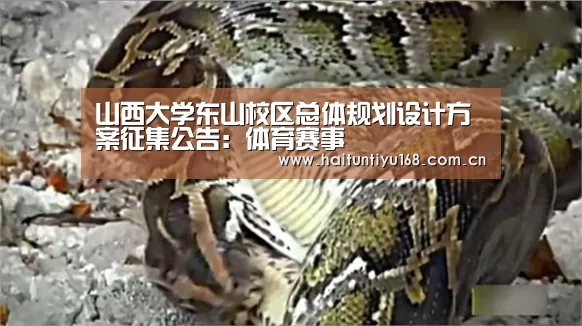健身互动