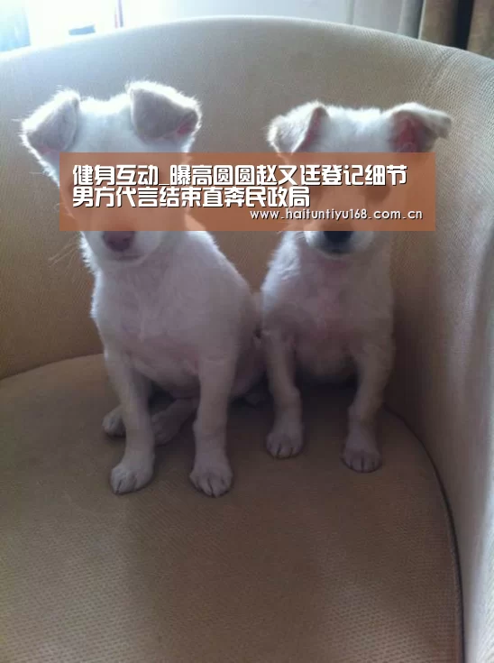健身互动_曝高圆圆赵又廷登记细节 男方代言结束直奔民政局(图1) 健身互动