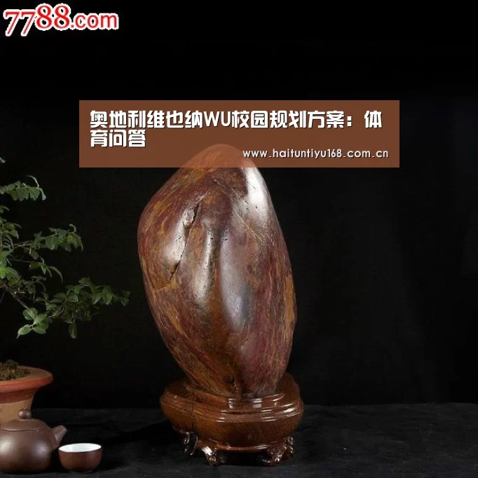 智能体育