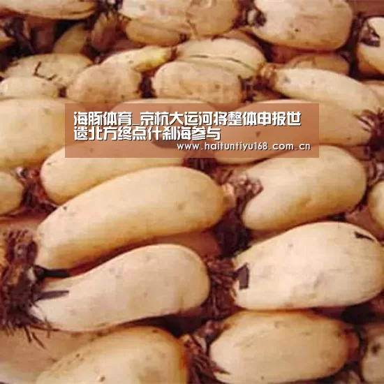海豚体育_京杭大运河将整体申报世遗北方终点什刹海参与(图4) 健身互动