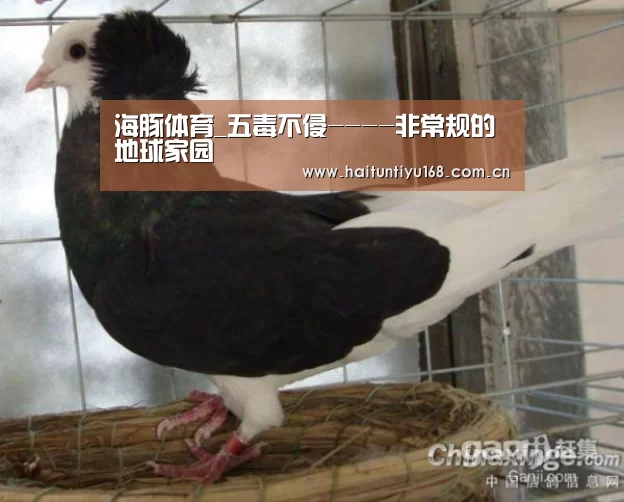 健身互动