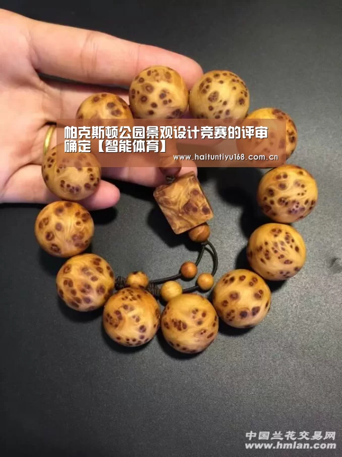 帕克斯顿公园景观设计竞赛的评审确定【智能体育】(图1) 海豚体育