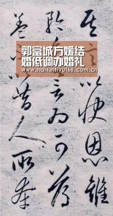海豚体育