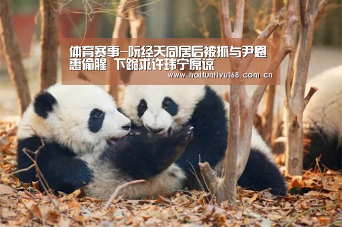 体育赛事-阮经天同居后被抓与尹恩惠偷腥 下跪求许玮宁原谅(图3) 健身互动