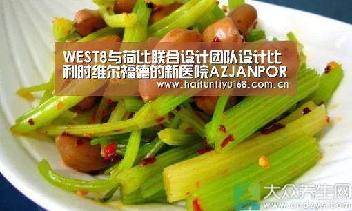WEST8与荷比联合设计团队设计比利时维尔福德的新医院AZJANPORTAELS【智能体育】(图1) 健身互动