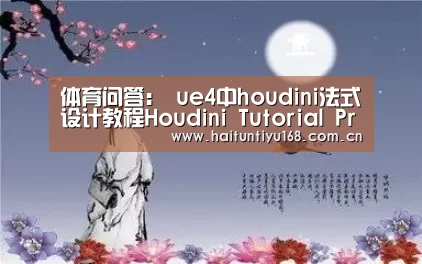 体育问答:
ue4中houdini法式设计教程Houdini Tutorial Procedural Level Design in UE4(图3) 体育问答
