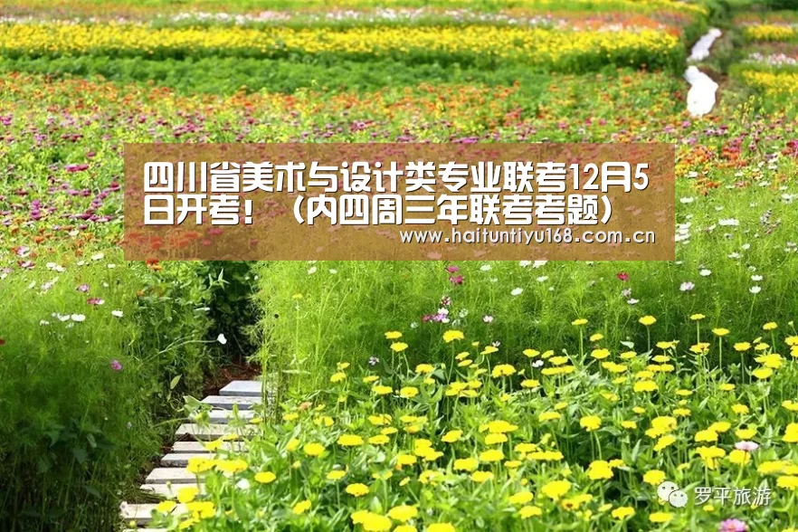 四川省美术与设计类专业联考12月5日开考!(内四周三年联考考题)‘运动平台’(图24) 健身互动