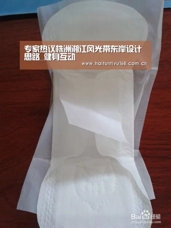 专家热议株洲湘江风光带东岸设计思路_健身互动(图1) 运动平台