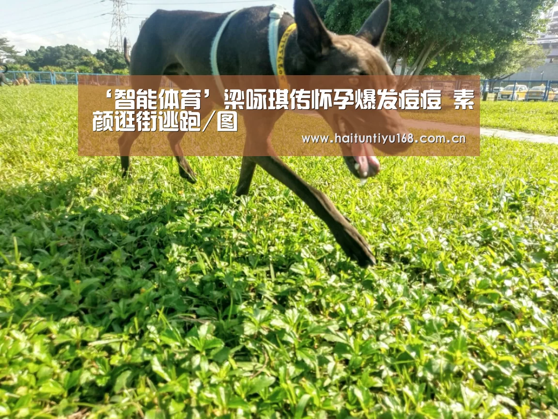 ‘智能体育’梁咏琪传怀孕爆发痘痘 素颜逛街逃跑/图(图1) 海豚体育